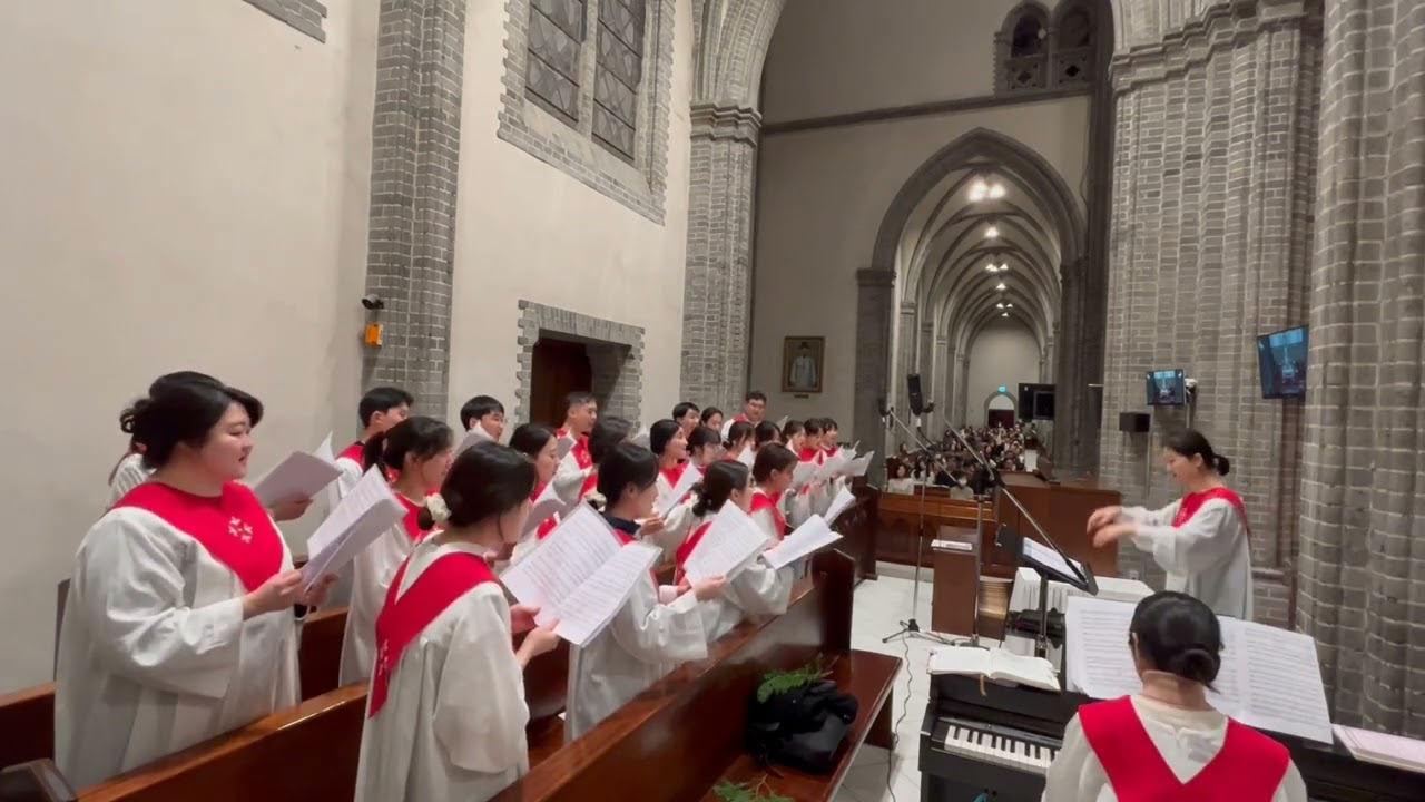 명동성당청년성가대엘리 | 20240324_구원자 예수 너의 사랑
