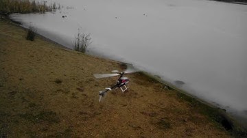 E-Flite Blade 450 totally stock. Flips, loops and inverted hover