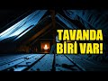 Çatı Katından Gelen Sesler: Kendi Evinde Gizlenen Katil (Gerçek Olay)