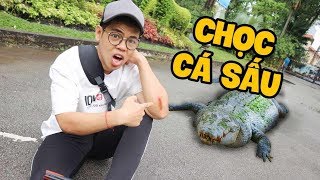 Thử Chọc Cá Sấu Và Cái Kết Đắng ( Giáo Sư Chuối )