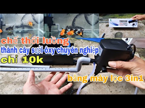 Video Chế thổi luồng thành cây sưởi ôxy chuyên nghiệp,chỉ... - youtube