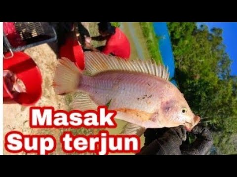 MASAK TALAPIA MERAH 