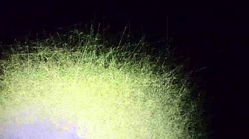 max map jitter VJ No.NNN