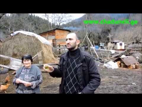 ჩადუნელი Чадунели Chaduneli. ხმა სოფელ ნეძვიდან