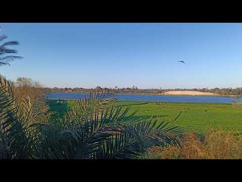 علاج العارض الشيطانى قوى جدا مع المعالج الروحاني الصقر النوراني أبو مريم