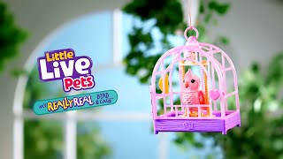 LITTLE LIVE PETS I My Really Real Bird & Cage TVC I 20 screenshot 5