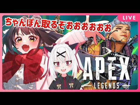 【Apex Legends】年納めちゃんぽん取りたい！！！🐉竜姫視点🐉【Vtuber】
