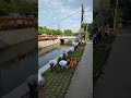 From Dirty Canal Dump to Luxury Flower Garden 🌸 | Unreal Transformation Timelapse #bangladesh #fyp