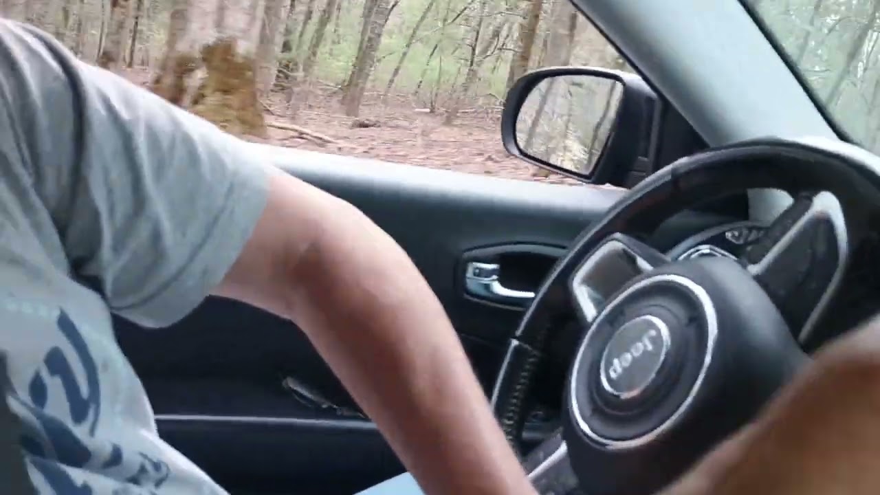 Ride along with us in Cades Cove ,