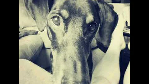 Duke Edward Wadley