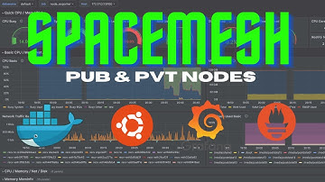 Spacemesh - Docker Pub/Pvt Nodes