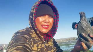 Iu Mien digging ￼horse snake clam in bodega bay. by Lucy ph lifestyle 475 views 5 months ago 20 minutes