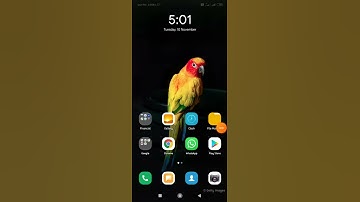 redmi 8a dual|MIUI12 UPDATE |Redmi 8a dual latest update|Android 10|How to update system software|