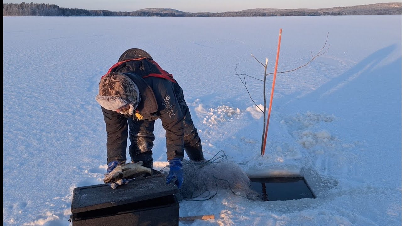 Talviverkoilla 2.1.26. Talvikausi käyntiin -25c°, kommeita kuhia!
