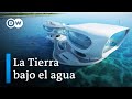 Vivir bajo el agua | DW Documental