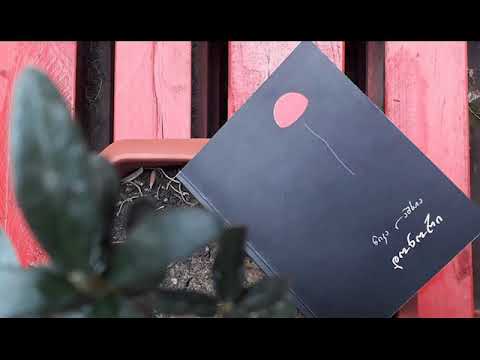 \"რადიო ივერია. საუბრები სტუდიაში. გადაცემის სტუმარი _ პოეტი ნიკა ლაშხია