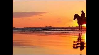 استشهاد عمر بن الخطاب | الشيخ بدر المشاري | مقطع مؤثر