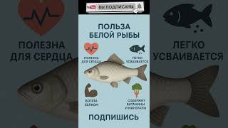 ПОЛЬЗА БЕЛОЙ РЫБЫ !!!  #польза  #лето  #рыба