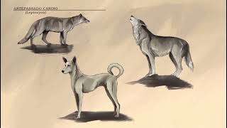 O cão pré-histórico português