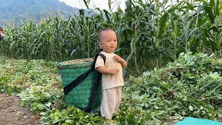 Single mother harvests boiled peanuts to sell. Buy new shoes for your child. | Du Duyên daily life