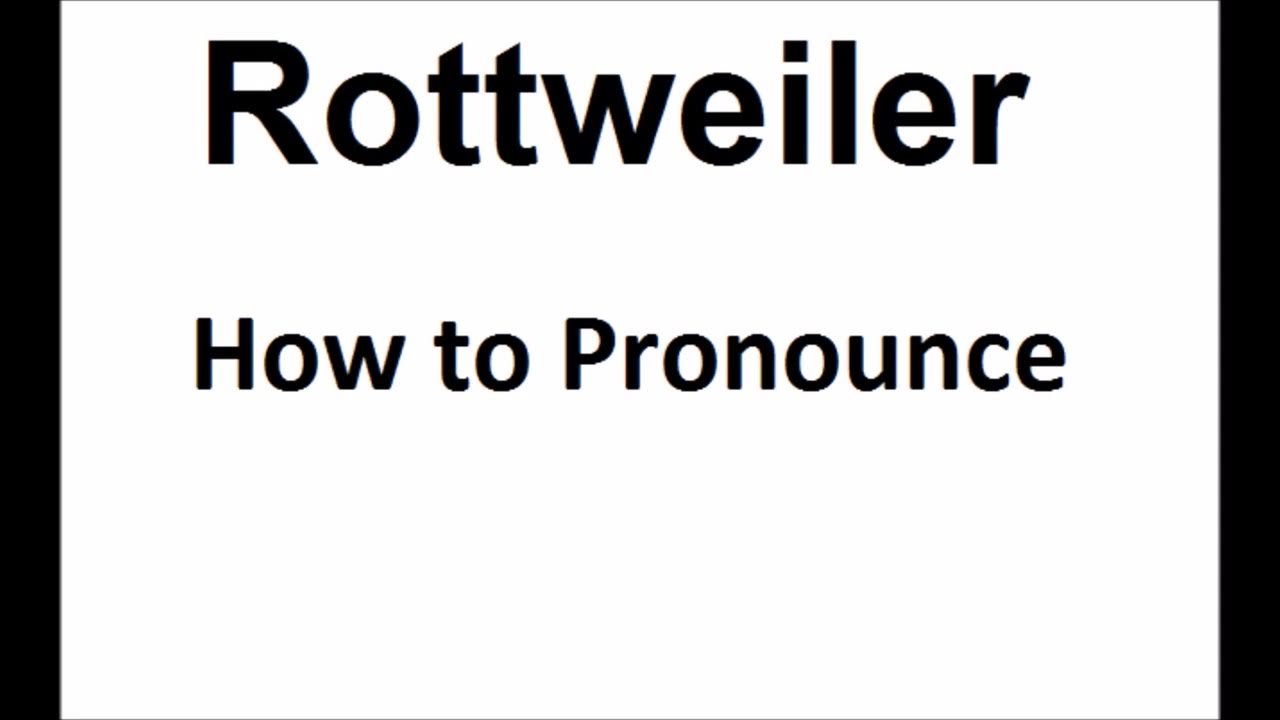 How to pronounce RottweilerHow to say RottweilerRottweiler