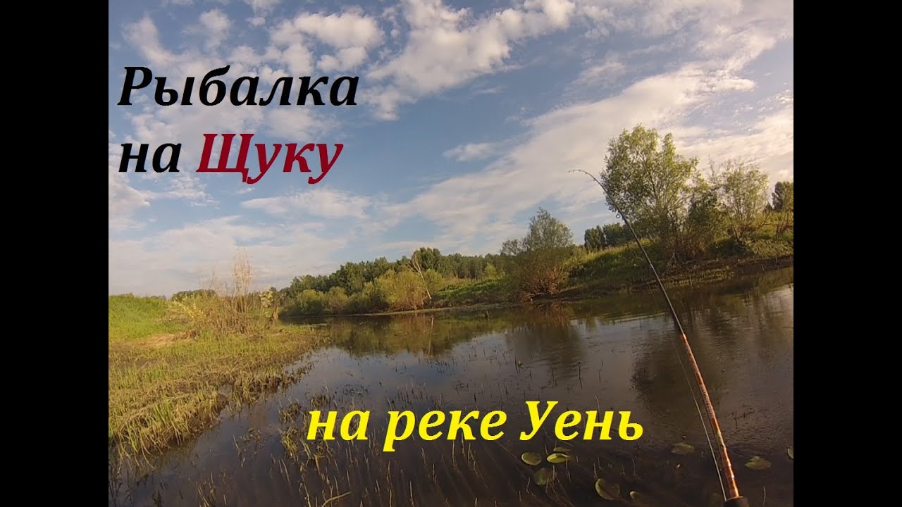 уень на что ловить уень на что ловить