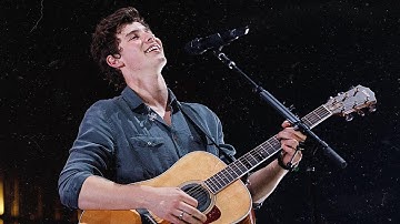 Shawn Mendes - Use Somebody & Treat You Better (full performance)