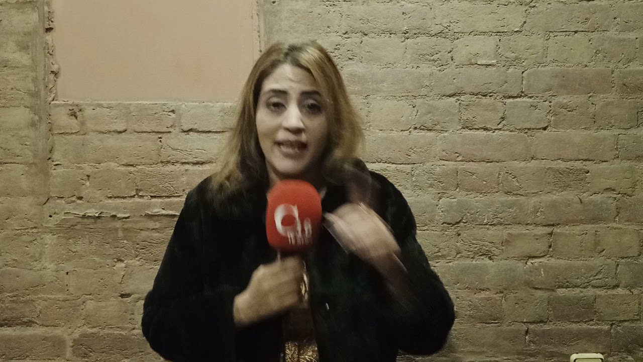 Sheeza Malik Artist And Tiktok 03 12  2021...