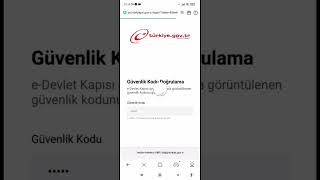 طریقه گرفتن برگه Uets ویا برگه پ ت ت Pttuetsاز طریق E-Devlet