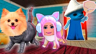 Прятки В Роблокс ! Но Мы Все Котики ! The Catcher Roblox