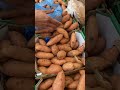 Sweet Potato #thenetherlands