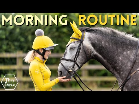 Morning Routine of