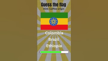 Guess the Flag Challenge! #shorts