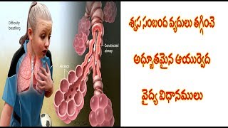 swasakosa vyadhulu // nivarana upayalu