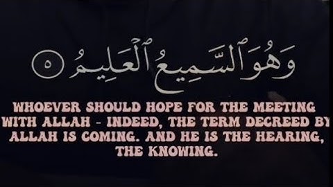 تلاوة من سورة العنكبوت بصوت الشيخ أحمد حمادي