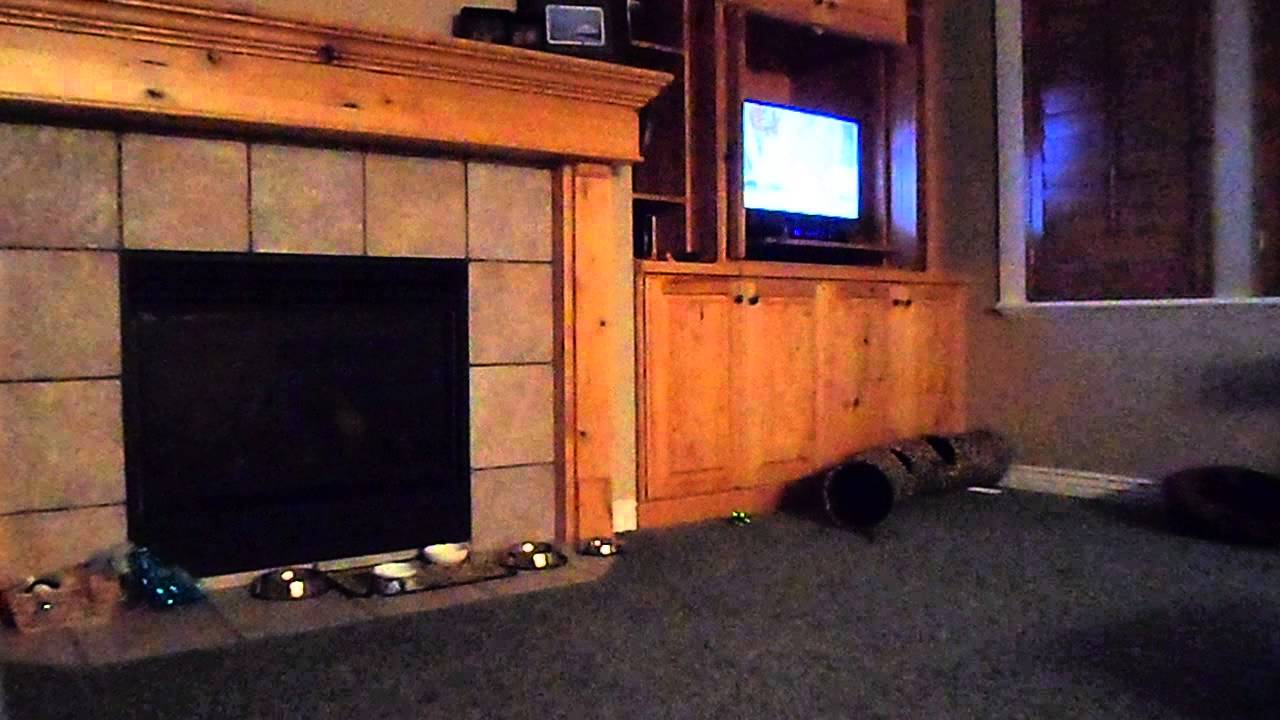 SAM 0710 - YouTube