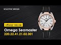 Часы наручные мужские Omega Seamaster Aqua Terra 220.22.41.21.02.001