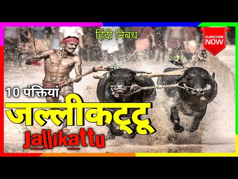10 Lines Essay on Jallikattu Festival in Hindi | 10 Lines on Jallikattu @shubhyouber