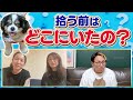 犬に直接聞いてみた