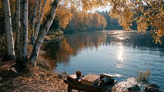 Soft Piano Music for Sleep 🍂 Relaxing Piano Music for Deep Sleep, Stress Relief & Calming screenshot 2