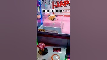 Chimmy Claw Machine Win ! #clawmachinewins #shortsyoutube #round1 #bt21