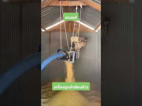 เครื่องลำเลียงข้าวเปลือกข้าวโพดอาหารสัตว์