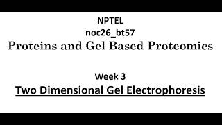 BT57 - Proteins and Gel Based Proteomics - Week 3 - 10-08-2026
