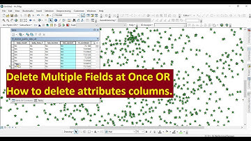 How to Delete Multiple Fields at once ||  how to delete attributes columns