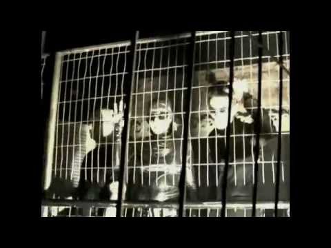 David Blyth's Damn Laser Vampires trailer