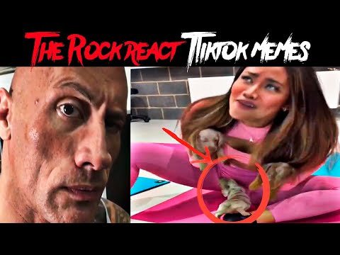 the rock reacts｜TikTok Search