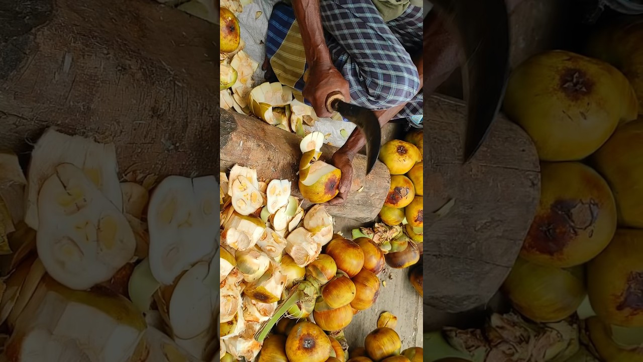Amazing Palmyra Palm Fruit Cutting Video 