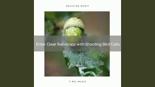 Music of the Place of Hard Raindrops pt. 2