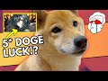 My Dog Tried a 5 Star Waifu Pull (Another Eden)