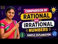 Comparison of Rational and Irrational Numbers | Tamil & English | Easy Explanation | Maths Ulagam